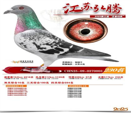 ���պ��ھ���230��