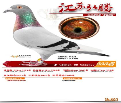 ���պ��ھ���233��