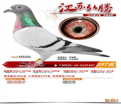 ���պ��ھ���237��