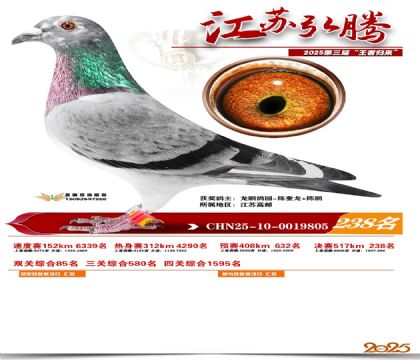 ���պ��ھ���238��