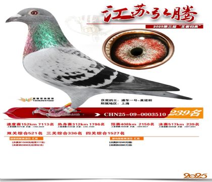 ���պ��ھ���239��