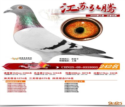 ���պ��ھ���242��