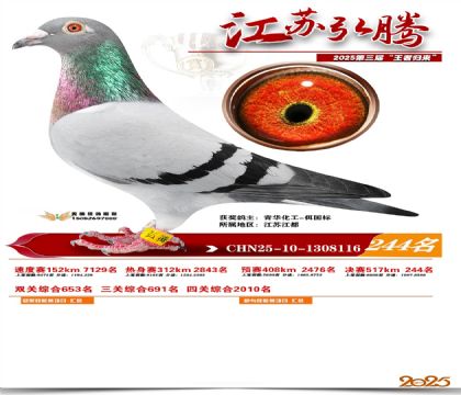 ���պ��ھ���244��