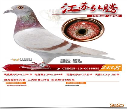 ���պ��ھ���243��