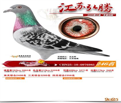 ���պ��ھ���246��