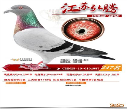 ���պ��ھ���247��