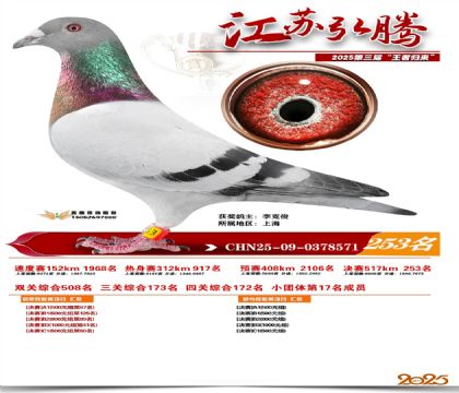 ���պ��ھ���253��