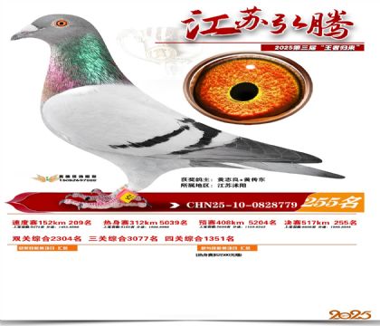 ���պ��ھ���255��