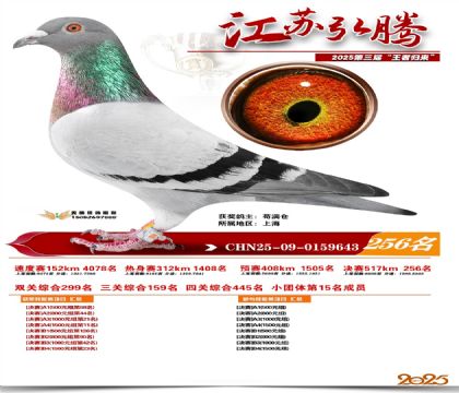 ���պ��ھ���256��