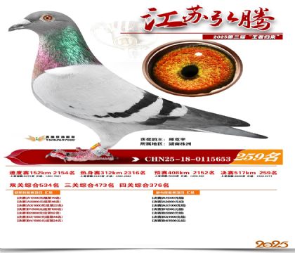 ���պ��ھ���259��