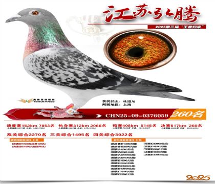 ���պ��ھ���260��