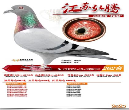 ���պ��ھ���262��