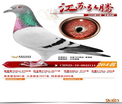 ���պ��ھ���264��