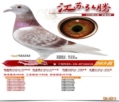 ���պ��ھ���263��