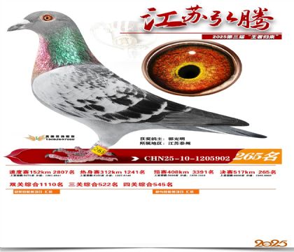 ���պ��ھ���265��