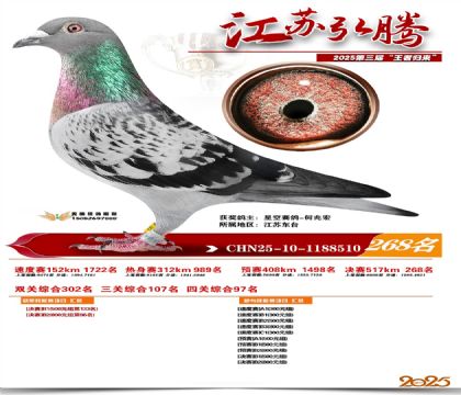 ���պ��ھ���268��