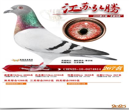 ���պ��ھ���267��