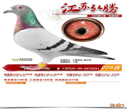 ���պ��ھ���275��