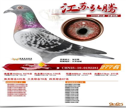 ���պ��ھ���277��