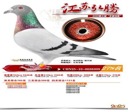 ���պ��ھ���278��