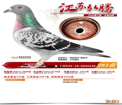 ���պ��ھ���281��