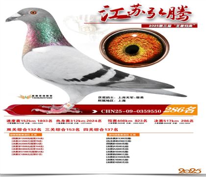 ���պ��ھ���286��