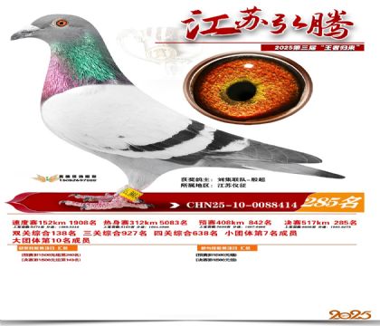 ���պ��ھ���285��