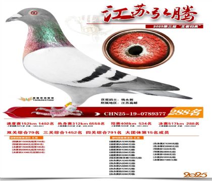 ���պ��ھ���288��