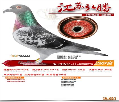 ���պ��ھ���289��