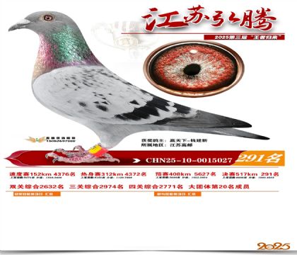 ���պ��ھ���291��