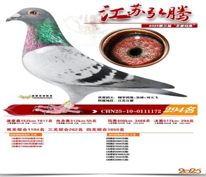 ���պ��ھ���294��