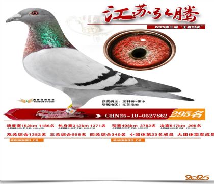 ���պ��ھ���295��