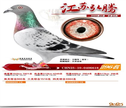 ���պ��ھ���296��