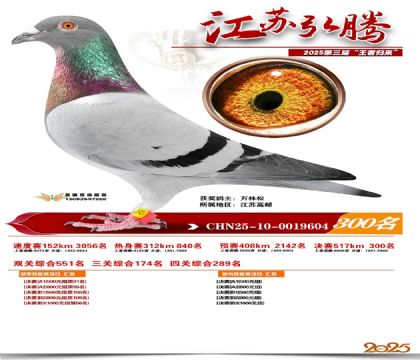 ���պ��ھ���300��