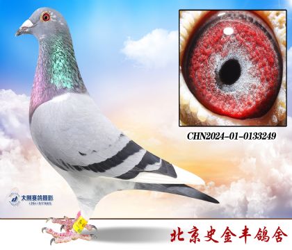 Ӣ��˹178ֱ��Ů