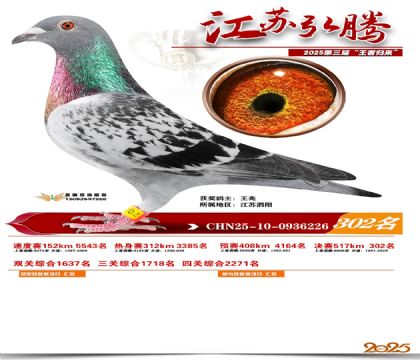 ���պ��ھ���302��