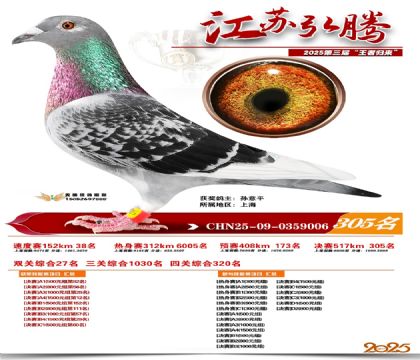 ���պ��ھ���305��