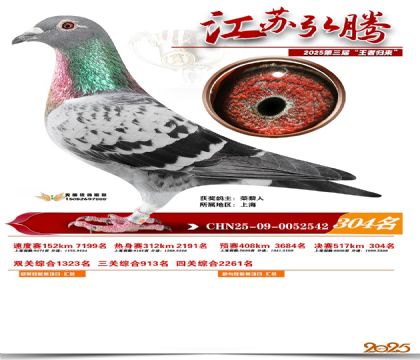 ���պ��ھ���304��