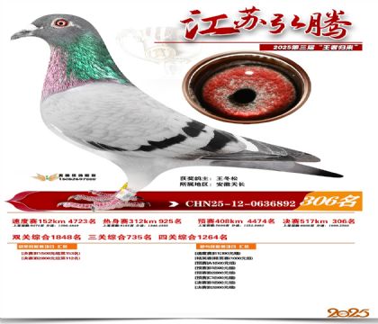 ���պ��ھ���306��