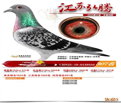 ���պ��ھ���307��