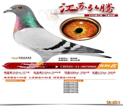 ���պ��ھ���308��