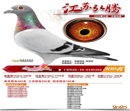 ���պ��ھ���309��