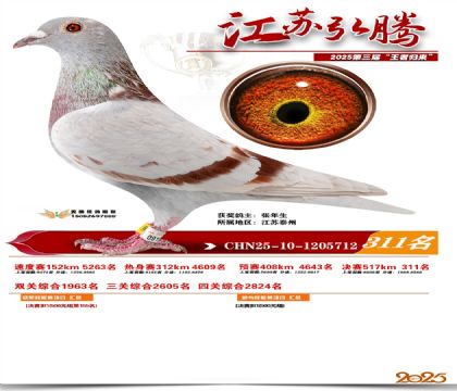 ���պ��ھ���311��