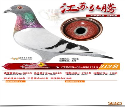 ���պ��ھ���313��