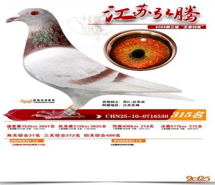 ���պ��ھ���315��