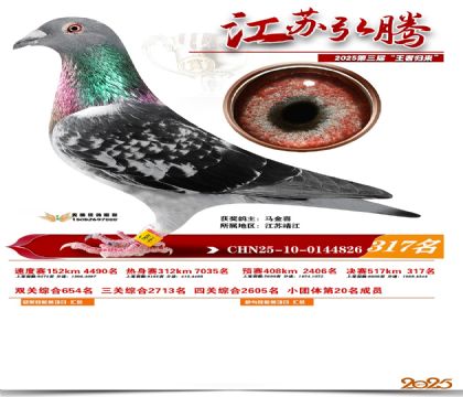 ���պ��ھ���317��