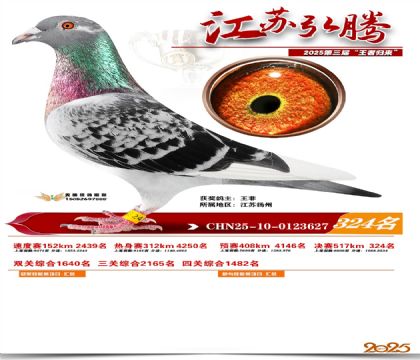 ���պ��ھ���324��