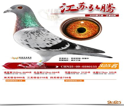 ���պ��ھ���325��