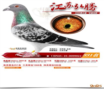 ���պ��ھ���331��