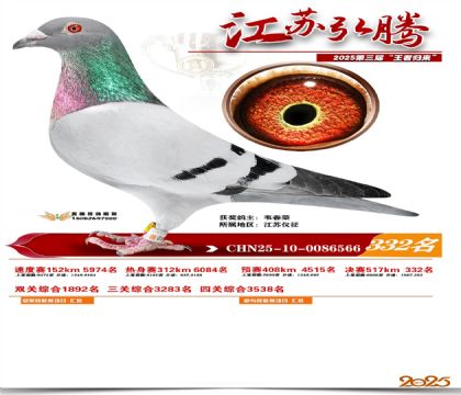 ���պ��ھ���332��